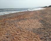 photo_1_2025-09-01_11-20-09