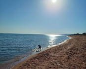 photo_2_2025-09-01_11-20-09